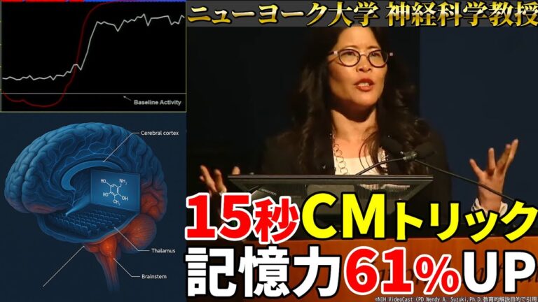 脳科学が実証！「15秒で記憶61％UP」NYU教授が解説